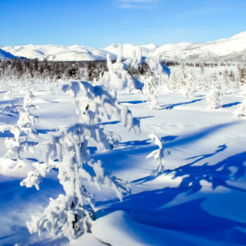 heliski alaska